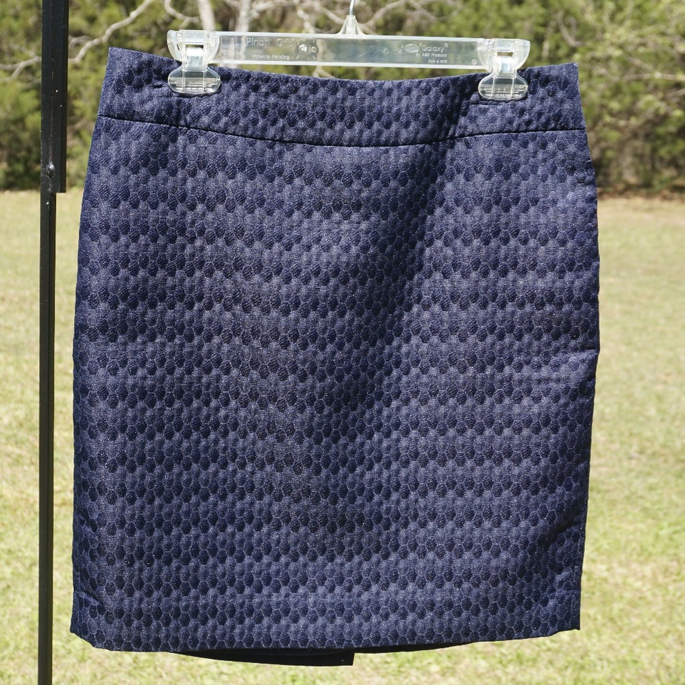 Anne Taylor Loft Pencil Skirt